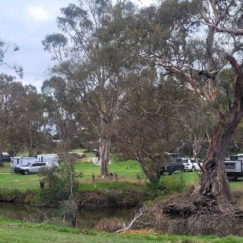 Camping Avoca River