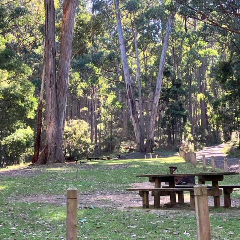 Avoca Waterfalls Campground